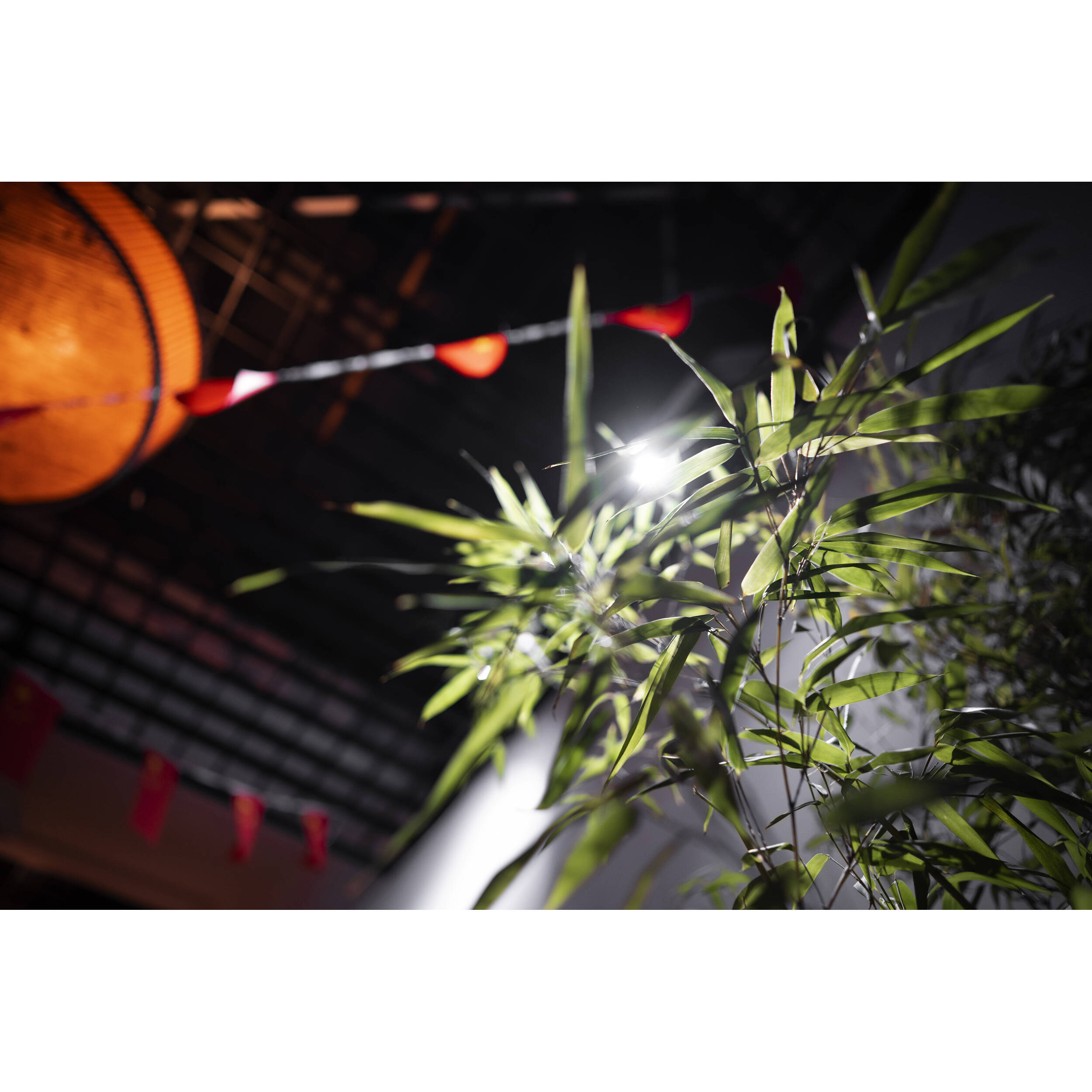 Viltrox AF 24mm f/1.8 Lens for Nikon Z