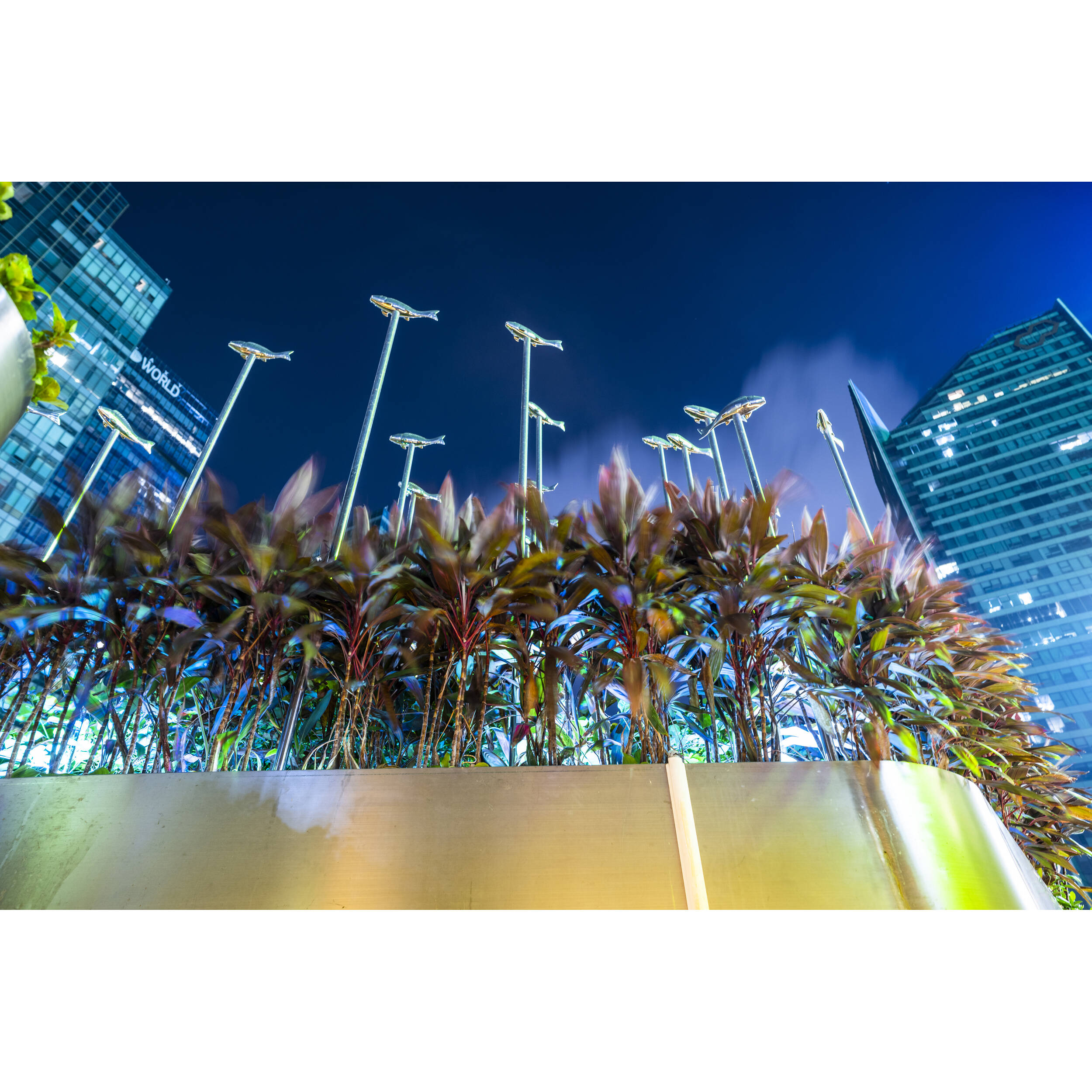 Viltrox AF 24mm f/1.8 Lens for Nikon Z