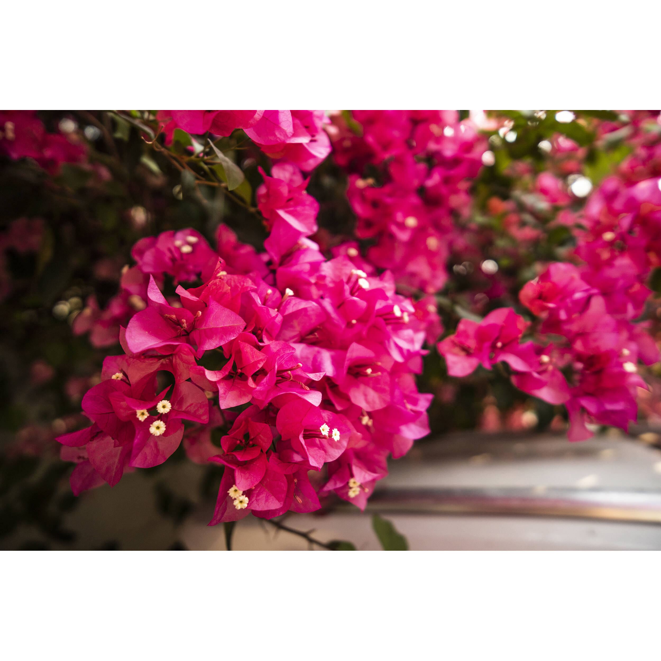 VILTROX Lens AF 13MM F1.4 E For Sony