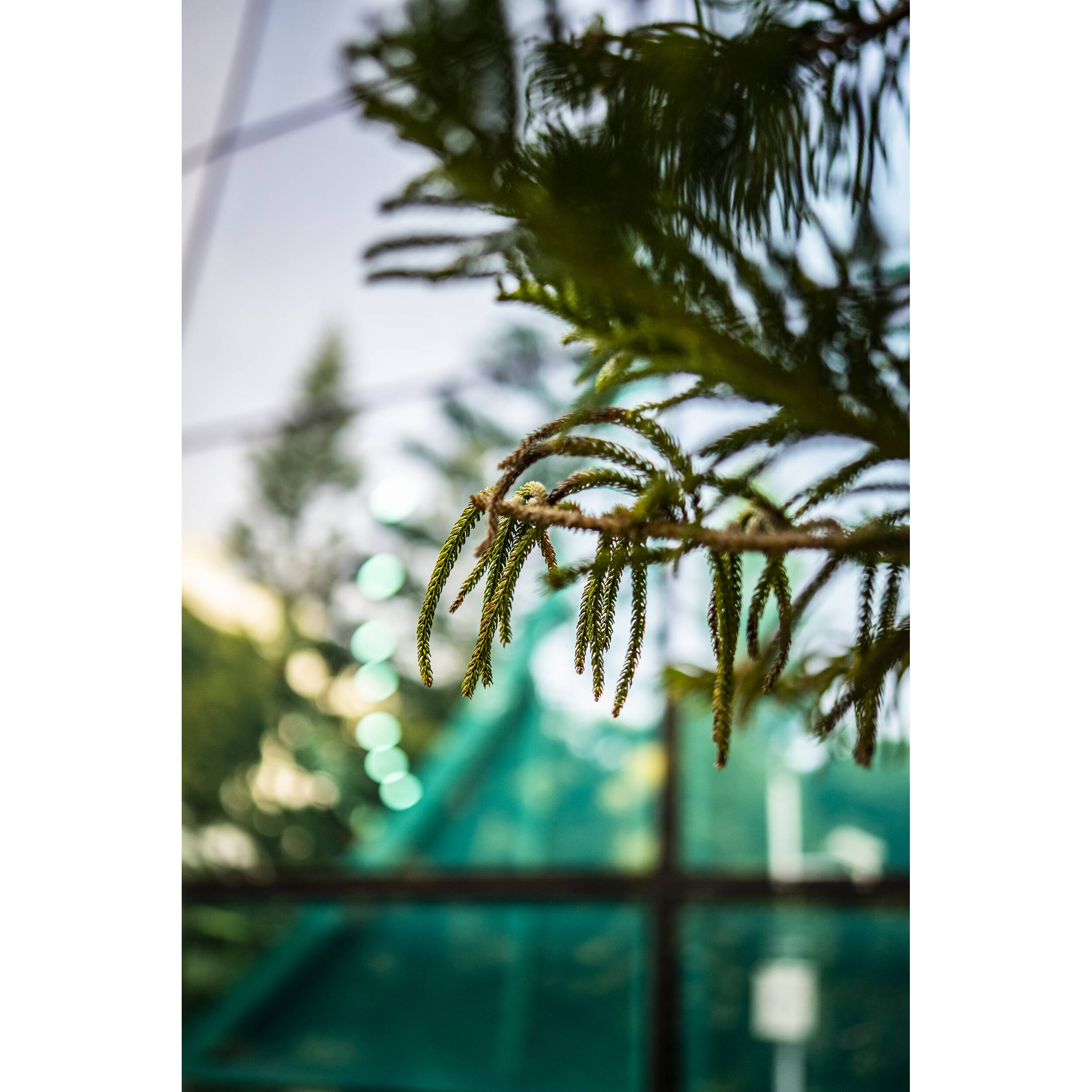 VILTROX Lens AF 35MM F1.8 E For Sony