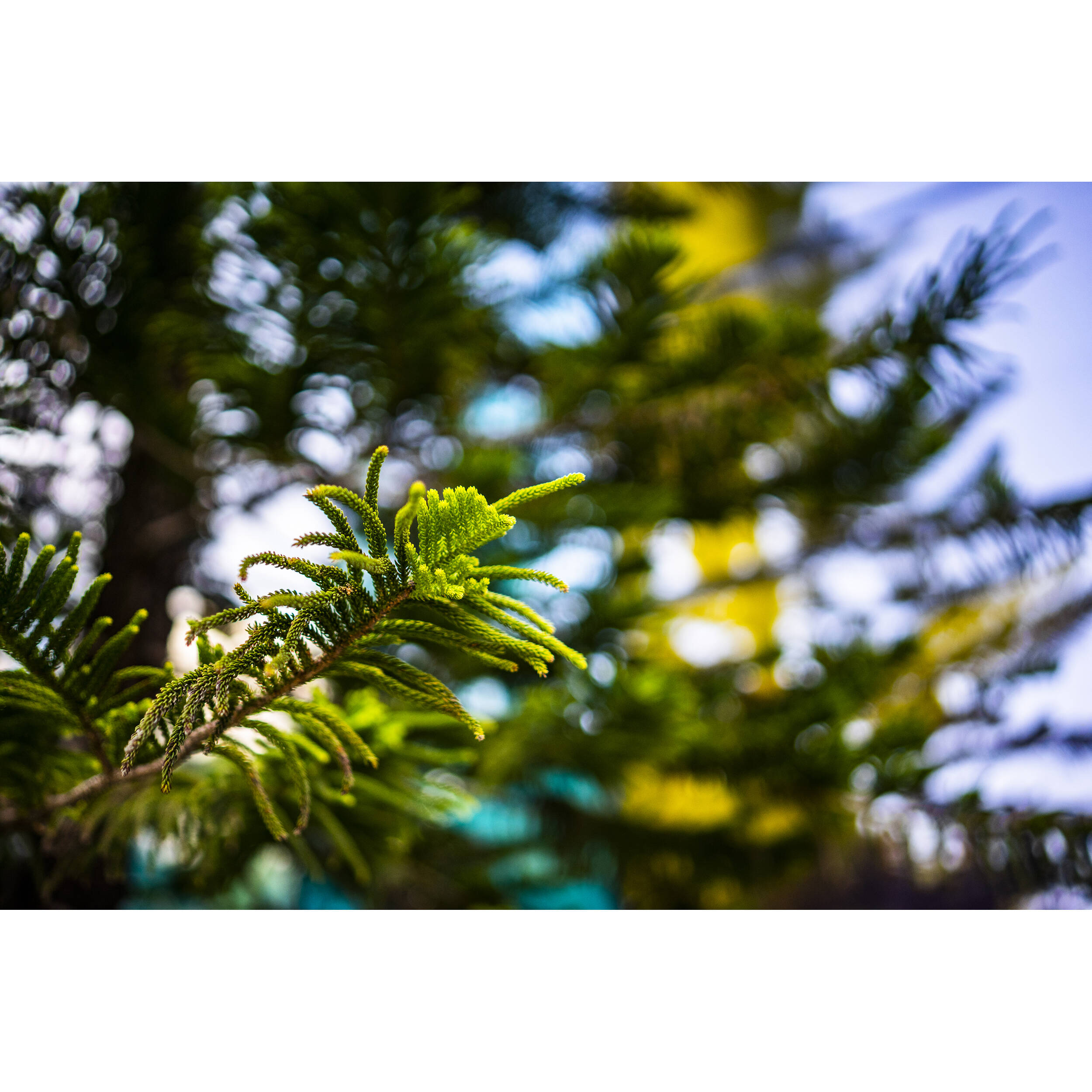 VILTROX Lens AF 50MM F1.8 E For Sony