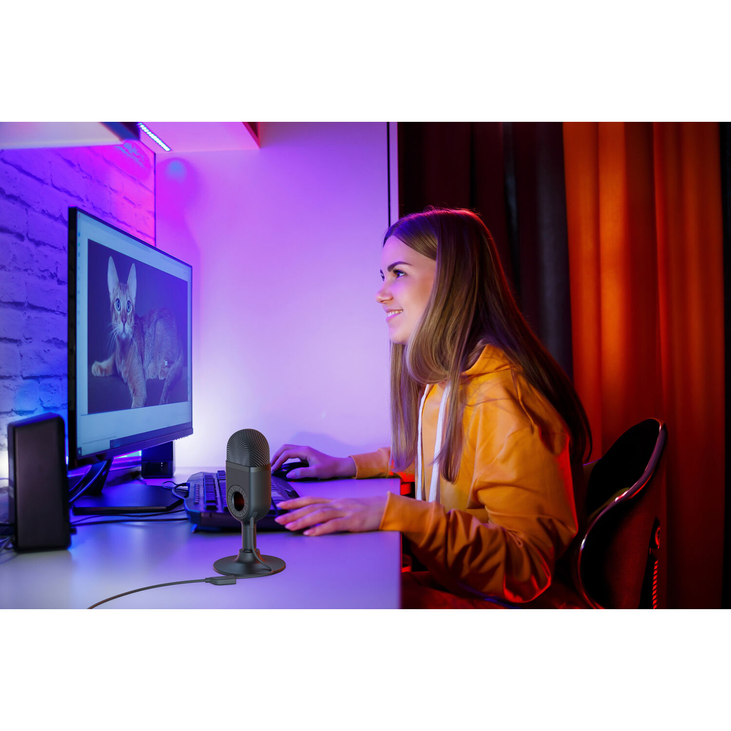 Smallrig simorr Wave U1 USB Condenser Microphone (Black)