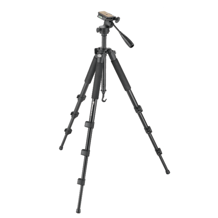 Professional WT-553C