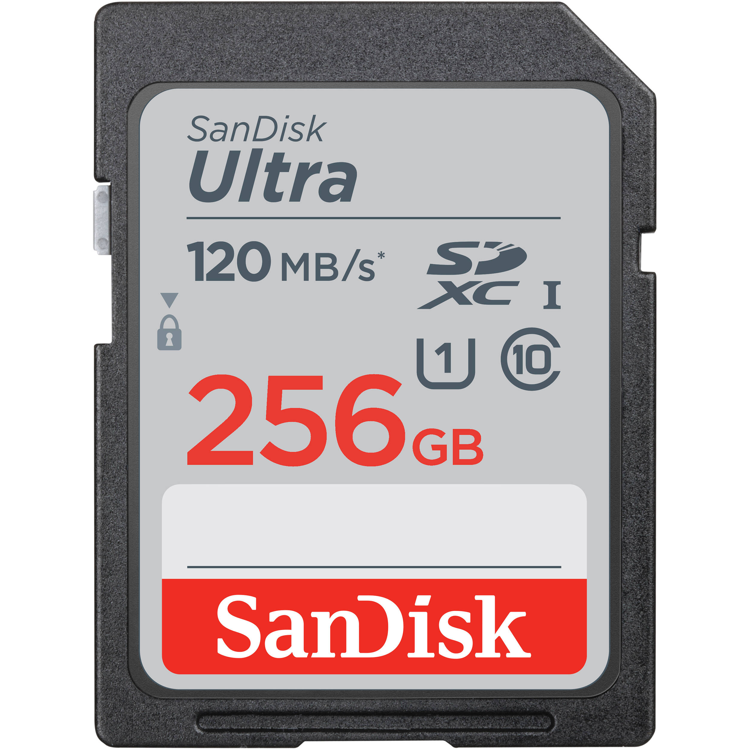 SanDisk 256