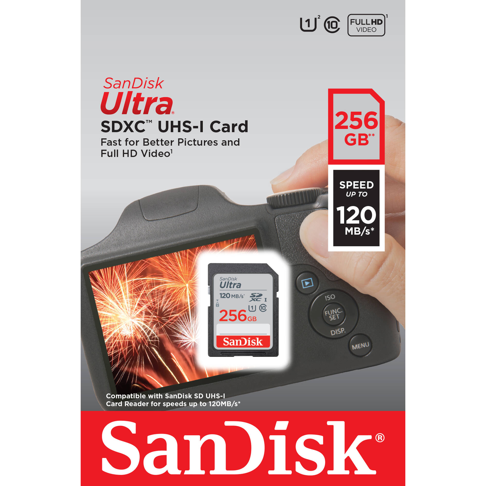 SanDisk 256