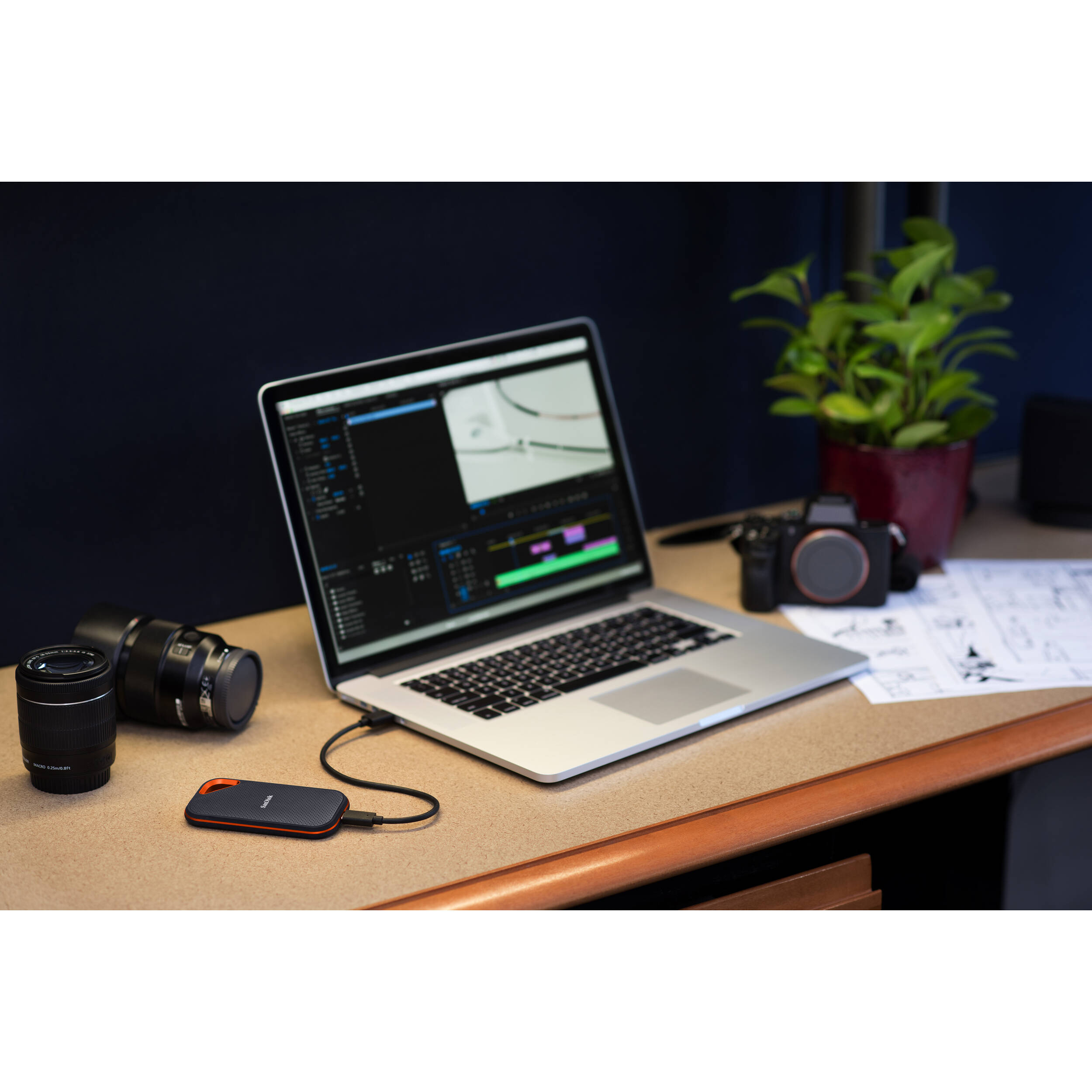 SanDisk 1TB Extreme PRO Portable SSD V2 (2000 MB/s Read Speed)