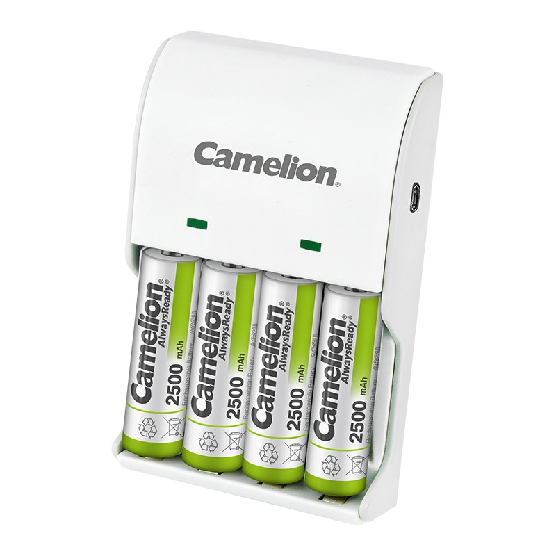 Camelion BC-1002​​​​​ fast battery charger