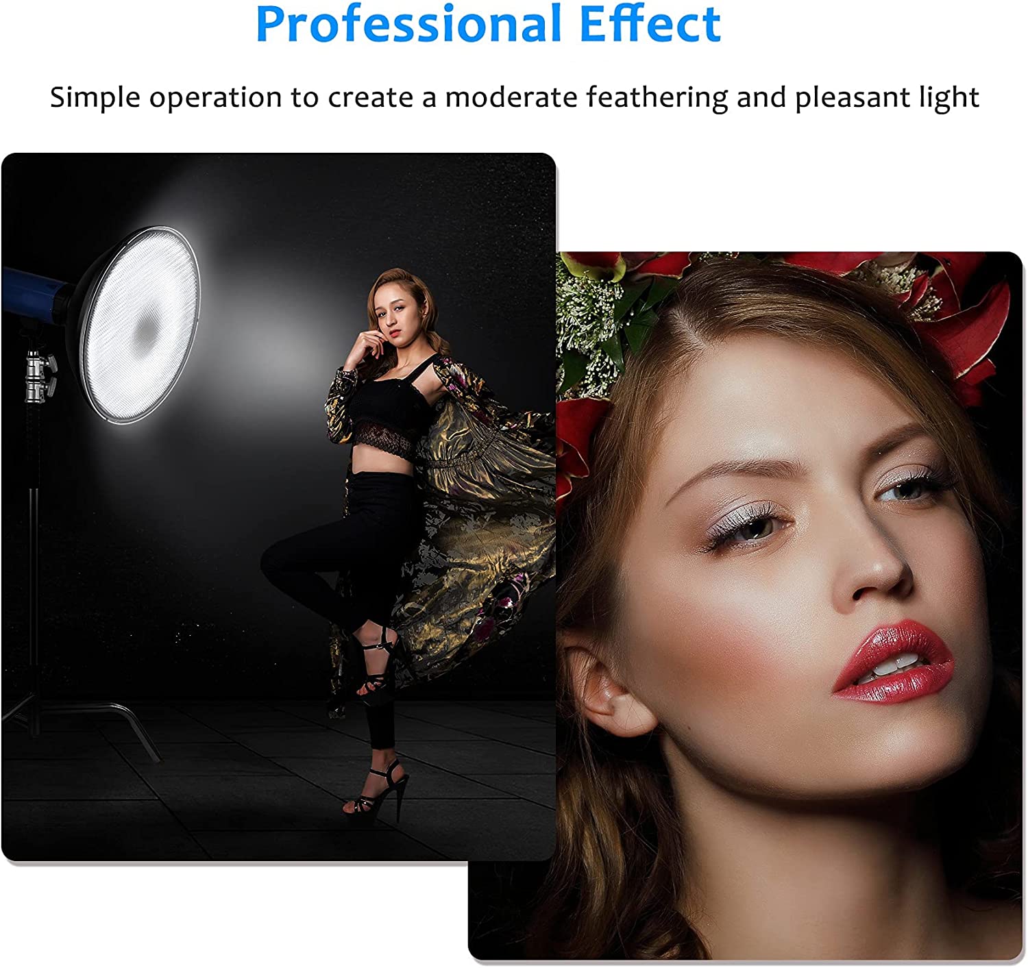 General Beauty Dish Diffuser Reflector with Grid 120 (120)