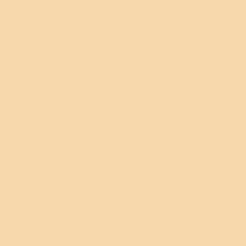 Visico Widetone Seamless Background Paper (Beige)