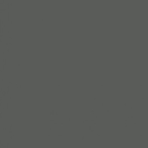 Visico Widetone Seamless Background Paper (Gray)