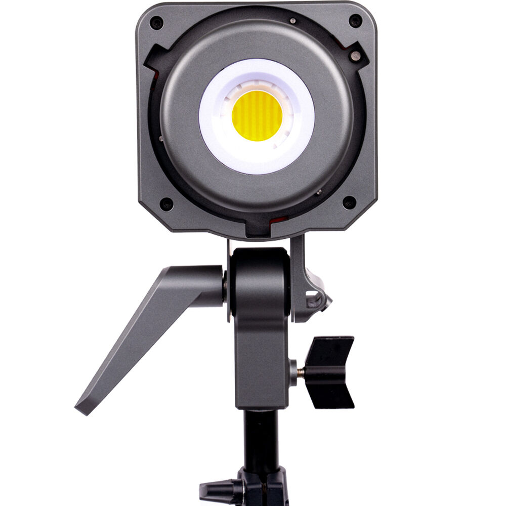 amaran 100x Bicolor LED Light