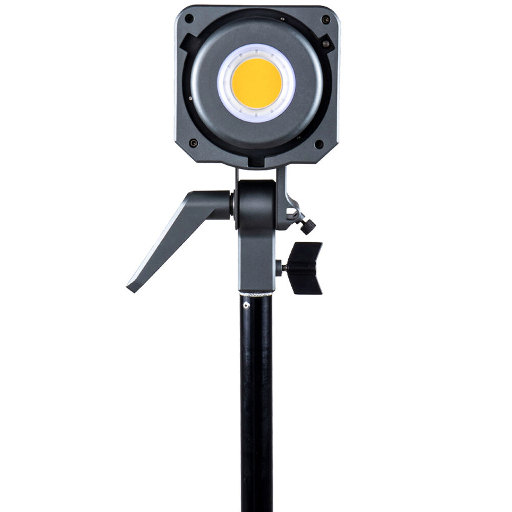 amaran 200d Daylight LED Monolight