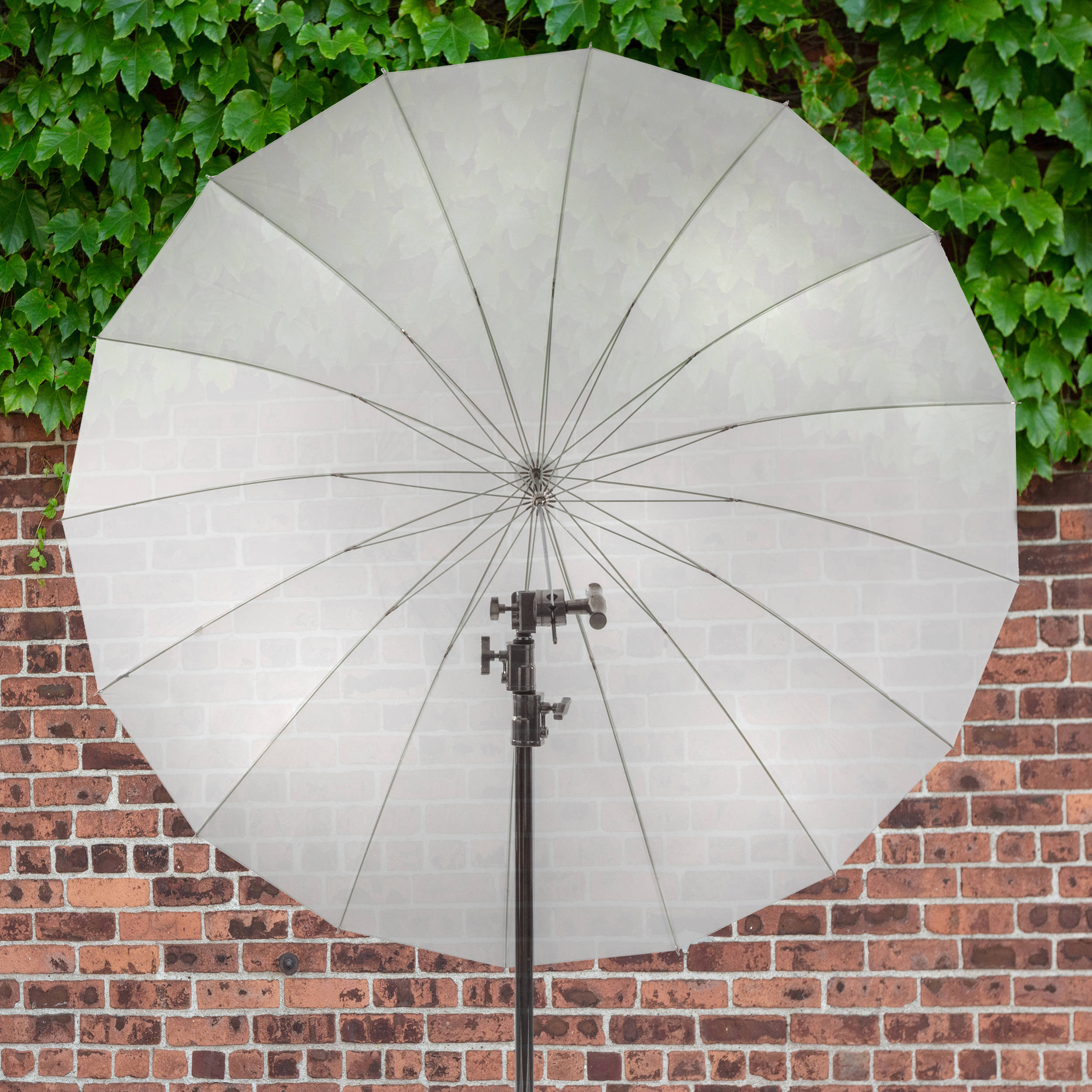 Parabolic Umbrella  from General (White)